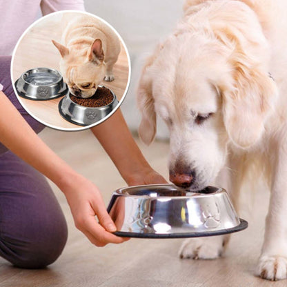nourrir un chien avec une gamelle pour chien