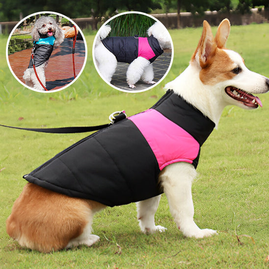 Impermeable pour chien | RainRover™