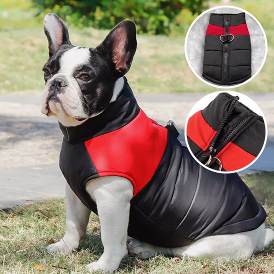 Impermeable pour chien | RainRover™