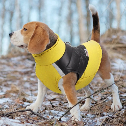 Impermeable pour chien | RainRover™