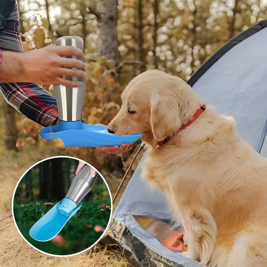 Gourde chien design