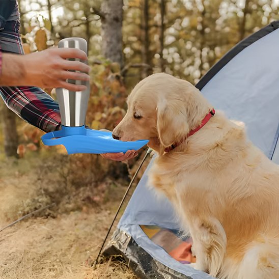 Gourde chien ecologique