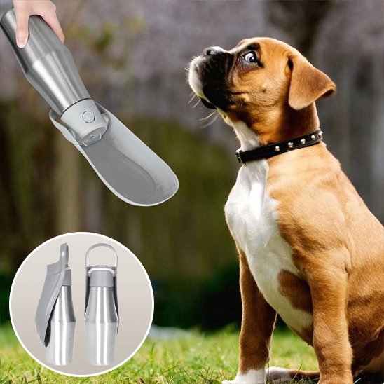 Gourde chien fraiche