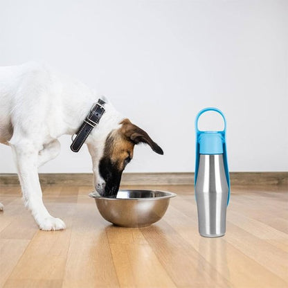 Gourde chien reutilisable