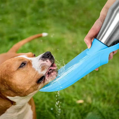 Gourde chien transportable