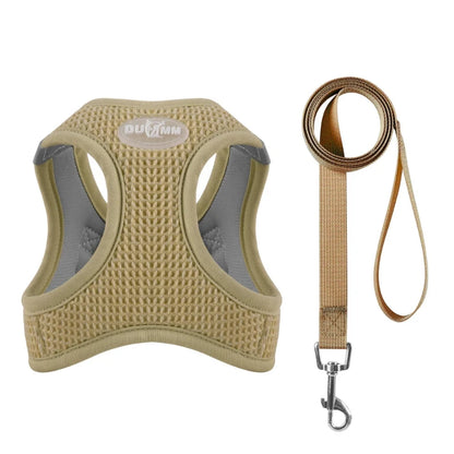 harnais pour chien brun
