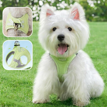 petit chien avec harnais doux et pastel