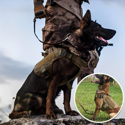 harnais-chien-xxl-camouflage