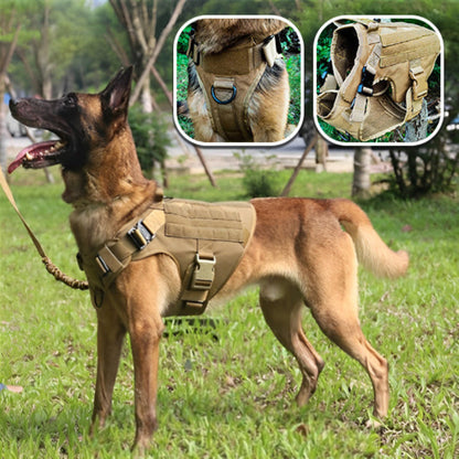 fixation et boucle du harnais pour grand chien