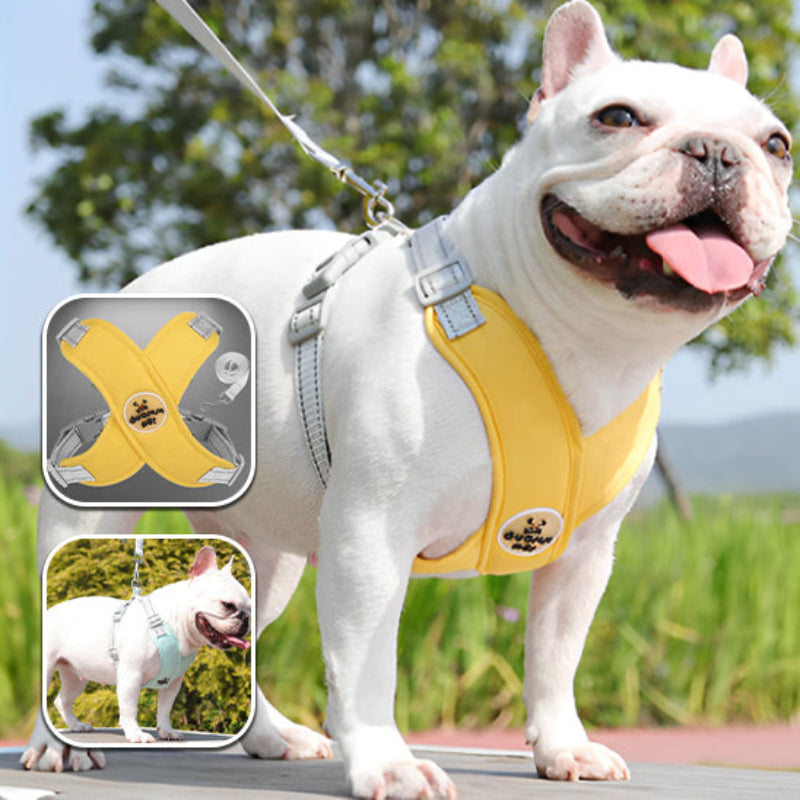 harnais pour chien confortable jaune