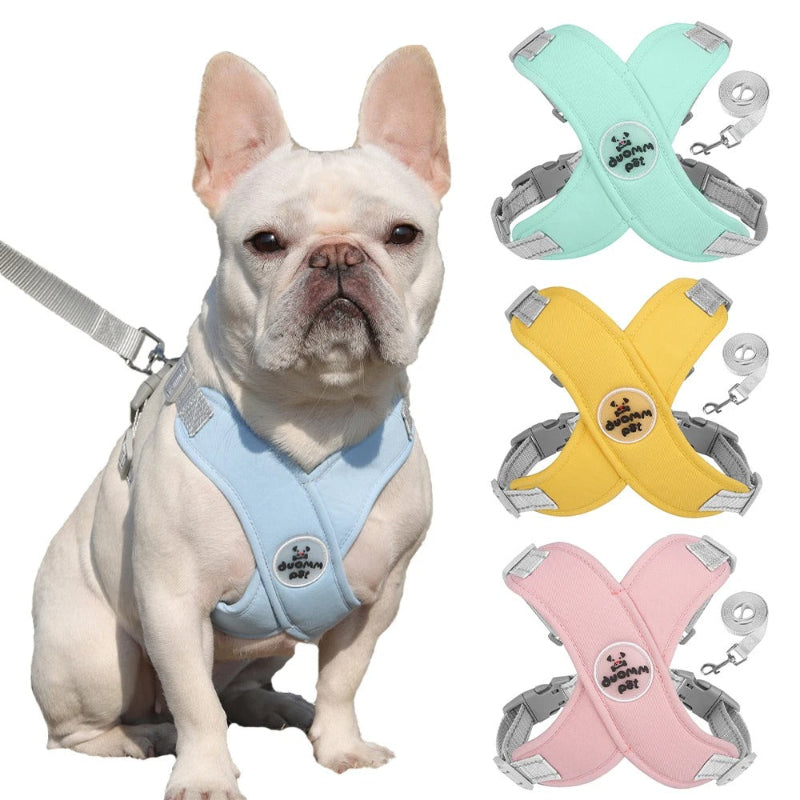 harnais pour chien en x