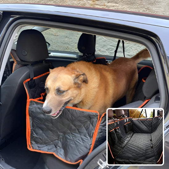 Protection voiture pour chien | WagProtec™