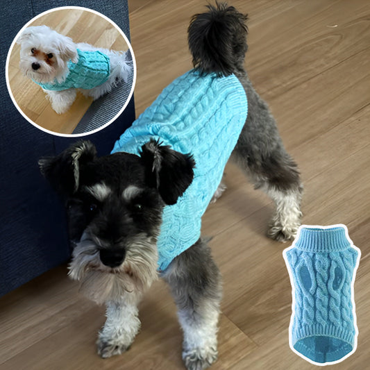 Pull pour chien | CaniChic™