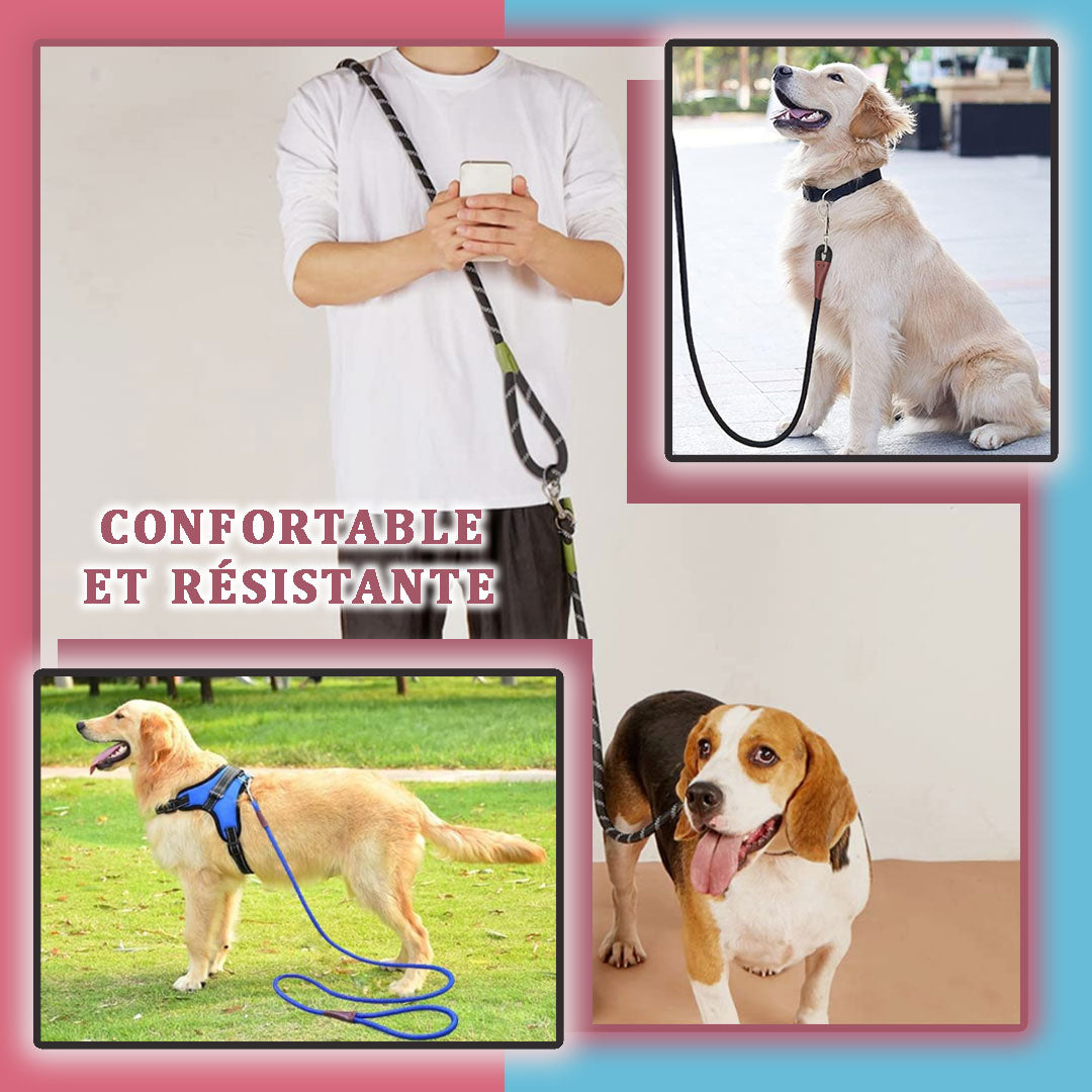 Laisse main-libre pour chien | FreePaw™