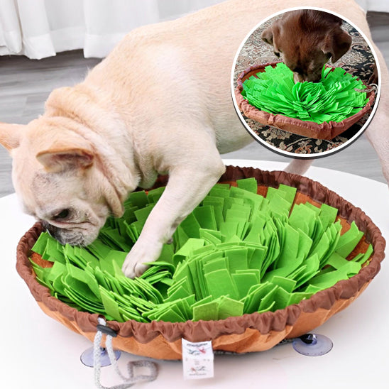 Tapis de fouille chien | SniffAdventure™