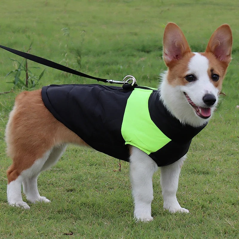 Impermeable pour chien | RainRover™