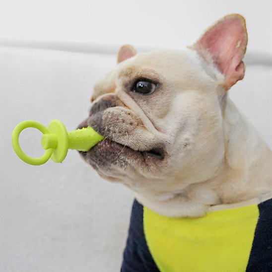 Jouet chien