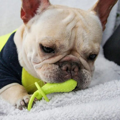 Jouet chien