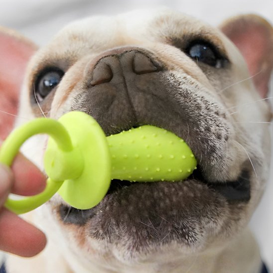 Jouet chien
