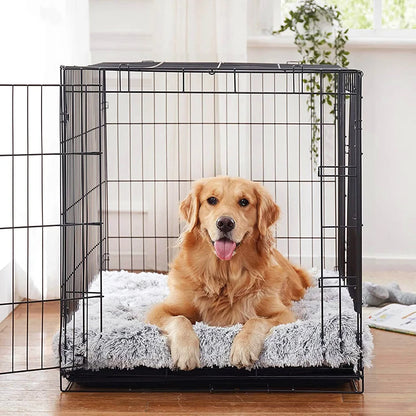 golden dans une cage de tranport avec un matelas pour chien