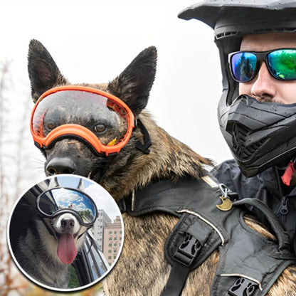 lunette pour chien avec un motard