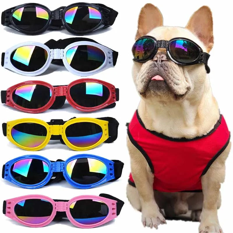 Lunette pour Chien |BarkVision™