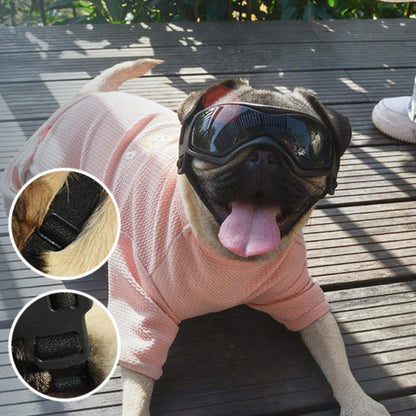 fixation de lunette pour chien