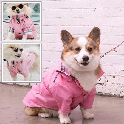 petits chiens avec manteau imper chien rose