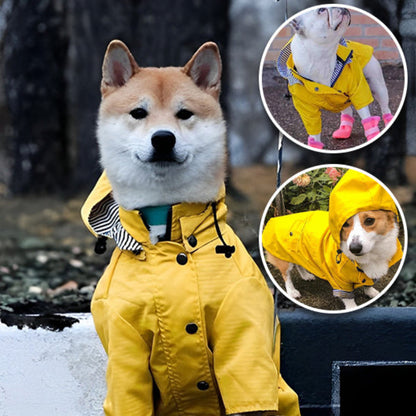 grand chien avec un manteau impermeable chien jaune
