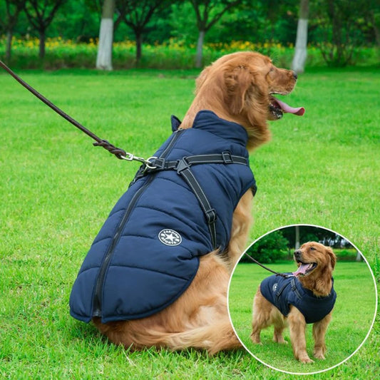 Manteau pour chien avec harnais intégré | HarnessCoat™