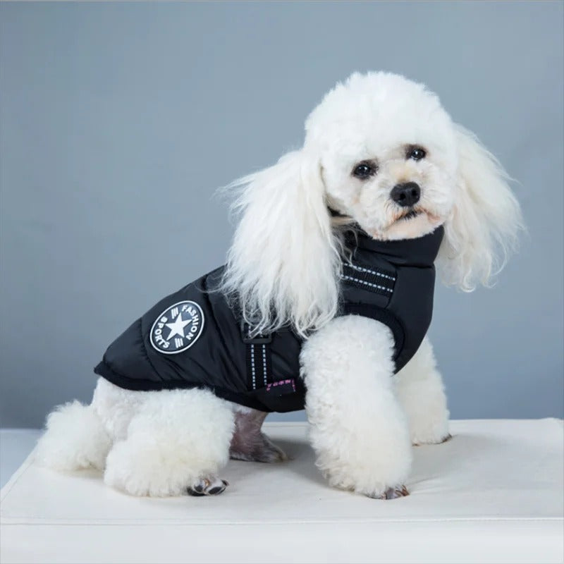 Manteau pour chien avec harnais intégré | HarnessCoat™