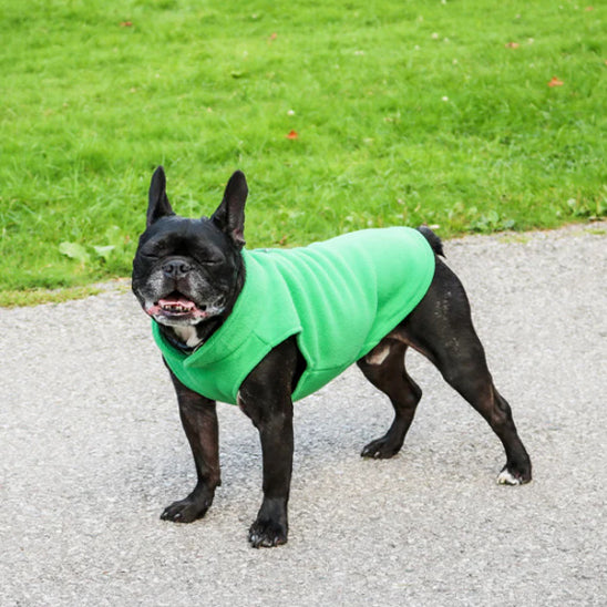 Manteau pour chien | CozyCanin™