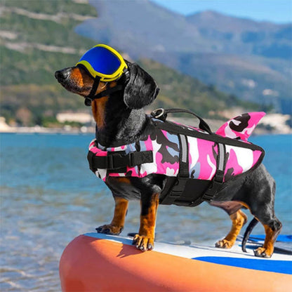 petit chien avec gilet de sauvetage