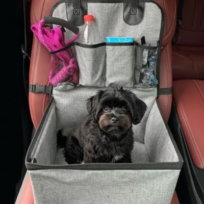 Siege auto chien | Securiconfort™