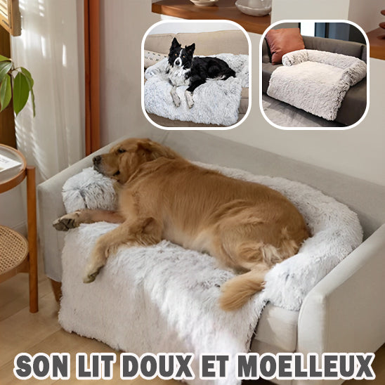 Protection canapé chien | SofSafe™