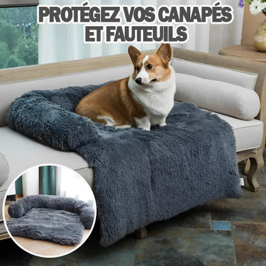 Protection canapé chien | SofSafe™