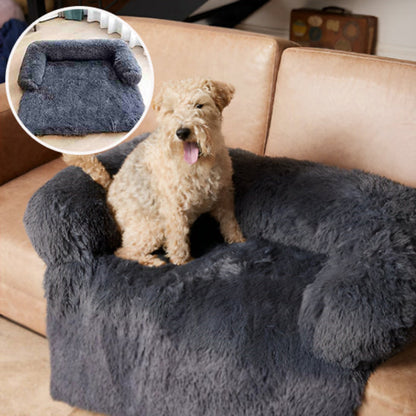 protection-canape-chien-noir