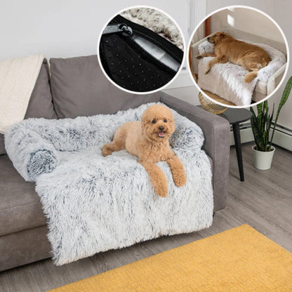 protection-canape-chien