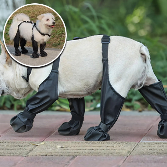 Bottes chien | PawProtect™