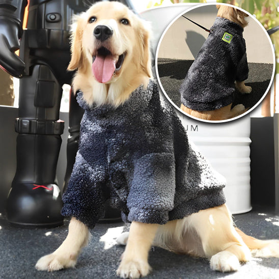 Pull pour chien | WarmWoof™