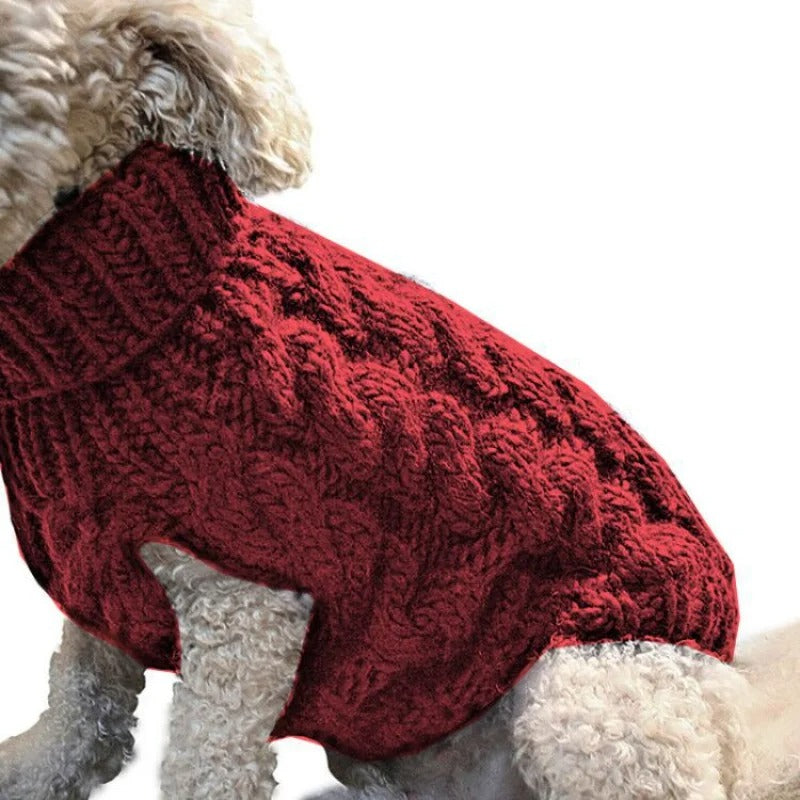 Pull pour chien | CaniChic™