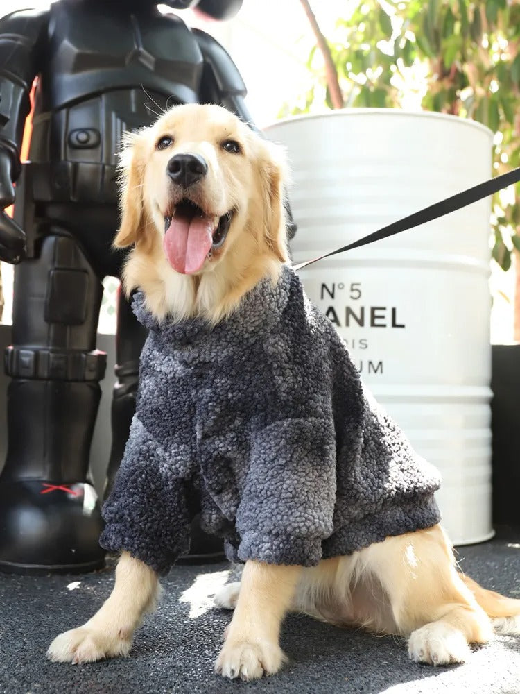 Pull pour chien | WarmWoof™