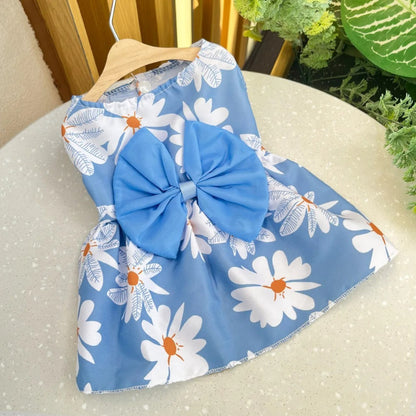 robe-pour-chien-bleu