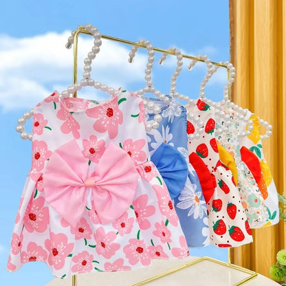 robe-pour-chien-couleur
