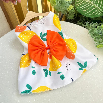 robe-pour-chien-orange