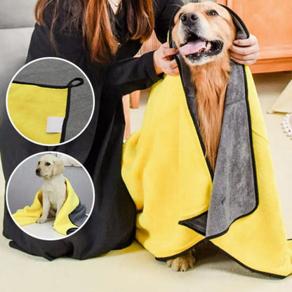 golden retriver séché par une serviette microfibre