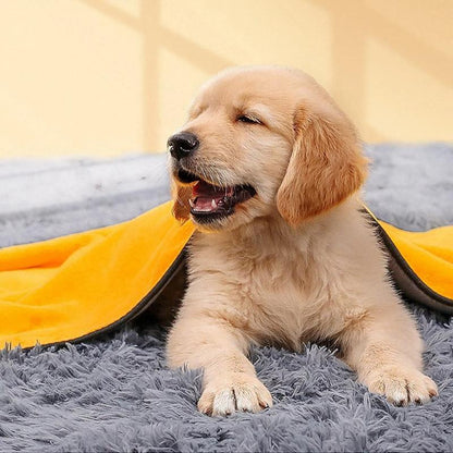 chiot séché par une serviette pour chien