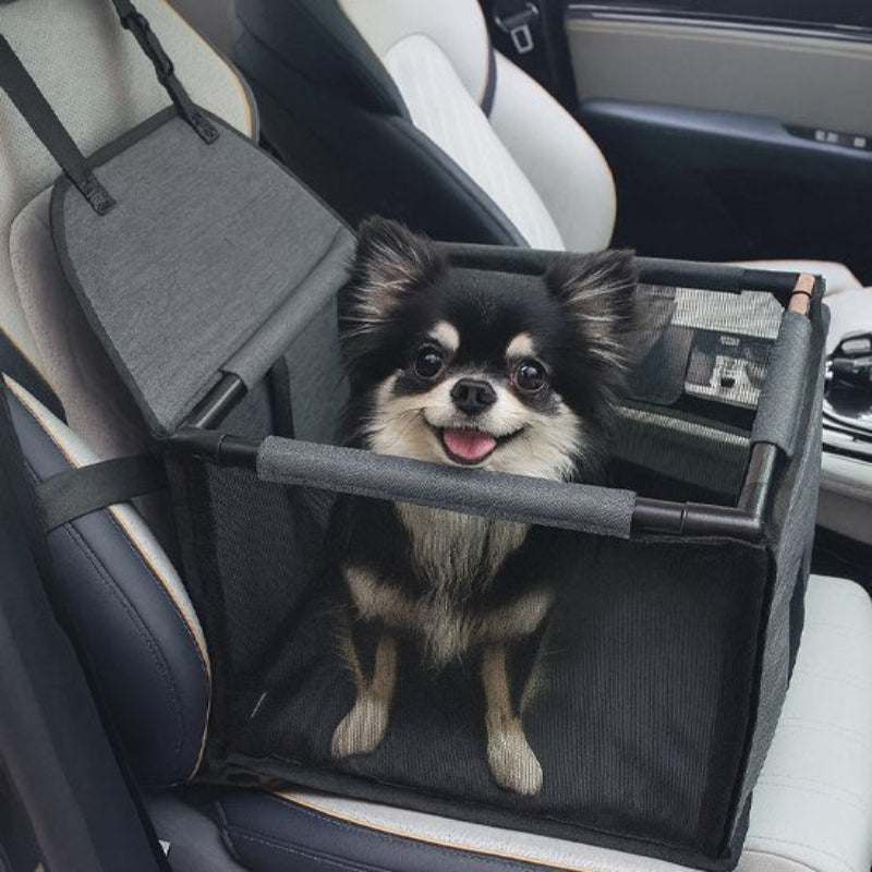 siege auto pour chien très leger
