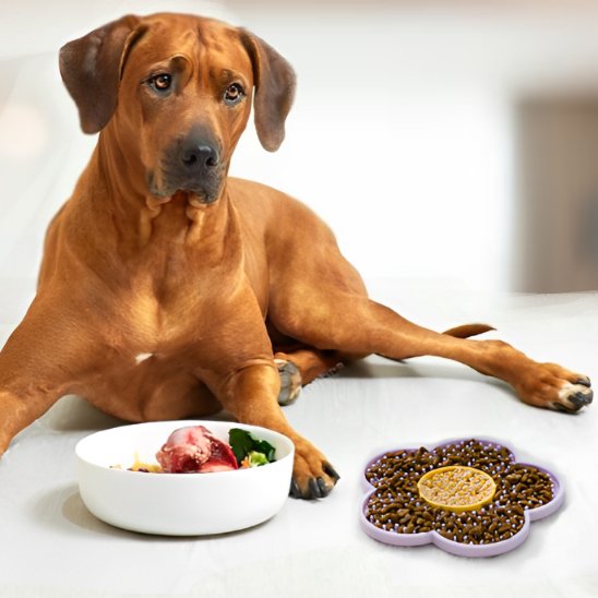 Tapis de lechage Chien glouton