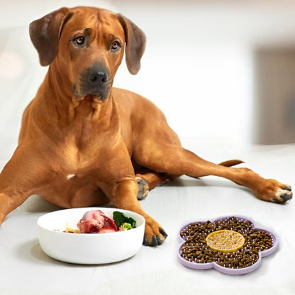 Tapis de lechage Chien glouton